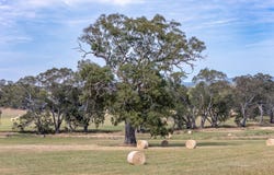 Lot 20 & 21 Newman Road, Charleston, SA 5244