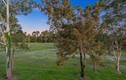 14 Pickworth Court, Parkwood, Qld 4214