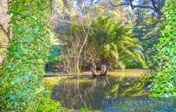 121 Grimwade Road, Balingup, WA 6253