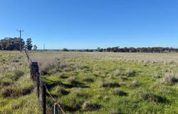 239 Mitiamo-Forest Road, Mitiamo, Vic 3573