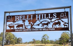 266-282 Skyring Creek Road, Belli Park, Qld 4562