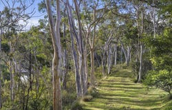 26 Berrima Drive, Berrima, NSW 2577