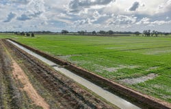 Lot 2 Peppertree Lane, Kyabram, Vic 3620