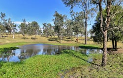 515 Coleyville Road, Coleyville, Qld 4307
