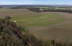 193 McPhillamys Lane, Forbes, NSW 2871