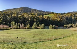 91 Patons Road, Penguin, Tas 7316