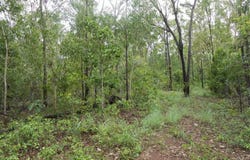 16 Head Court, Wagait Beach, NT 0822