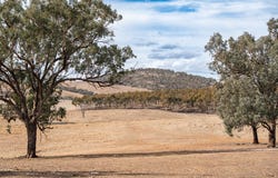 181 & 227, 31 Hillside Road, Moorwatha, NSW 2640