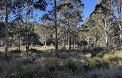 . Truelands Road, Campbell Town, Tas 7210