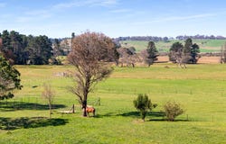 480 Golden Vale Road, Sutton Forest, NSW 2577