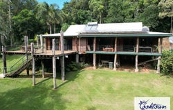 2529 Cape Tribulation Bloomfield Rd, Bloomfield, Qld 4895