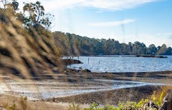 354 Deviot Road, Deviot, Tas 7275