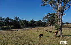 322 Stockdale - Fernbank Road, Stockdale, Vic 3862