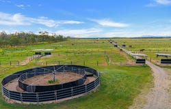 245 Gilmore Road, Mareeba, Qld 4880
