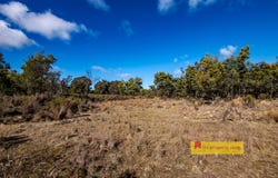 3860 Hill End Road, Mudgee, NSW 2850