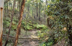 301 Bakers Road, Putty, NSW 2330
