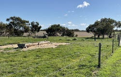 1682 Ladara Bore Road, Netherton, SA 5301