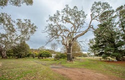 5215 Casterton-Edenhope Road, Kadnook, Vic 3318