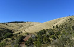 102, Gregors Creek Road, Gregors Creek, Qld 4313