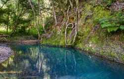 4, 1356 Main Arm Road, Upper Main Arm, NSW 2482