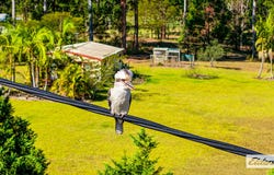 14 Treeview Drive, Rainbow Flat, NSW 2430