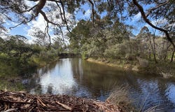 47 Pittam Way, Shadforth, WA 6333