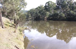 Lot 36 Reedy Creek Road, Tenterfield, NSW 2372