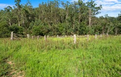 301 Bakers Road, Putty, NSW 2330