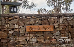 40 Catarrh Creek Road, Torrington, NSW 2371