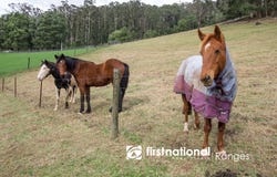 194 Kallista-Emerald Road, Kallista, Vic 3791