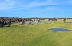 703 Cope Road, Gulgong, NSW 2852