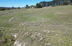 175 Tumbledown Road, Peak View, NSW 2630