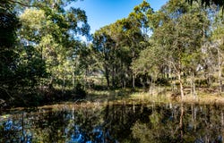 227 Sandy Creek Road, Veteran, Qld 4570