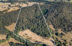 694 Pipeclay Road, Pipeclay, NSW 2446