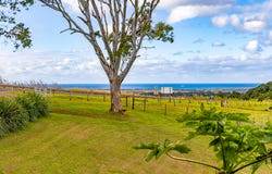1696 Hinterland Way, McLeods Shoot, NSW 2479