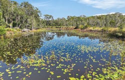 Lot 169 Oakview Drive, Hallidays Point, NSW 2430