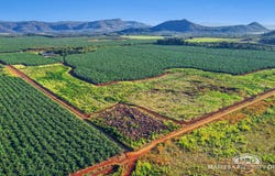 1597 Chewko Road, Walkamin, Qld 4872
