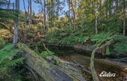 2112 Mawbanna Road, Mawbanna, Tas 7321