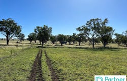 205 Gidley-Appleby Road, Tamworth, NSW 2340