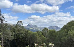 Eungella, NSW 2484