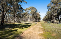 536 Muckleford-Castlemaine Road, Muckleford, Vic 3451