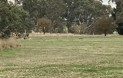 1233 Waubra-Talbot Road, Evansford, Vic 3371