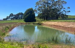 117 Faheys Lane, Irishtown, Tas 7330