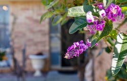 17 Amelia Court, Sorell, Tas 7172