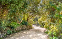 15 Murchison Street, Mittagong, NSW 2575