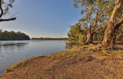 2921 Silver City Highway, Wentworth, NSW 2648