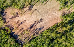 2197 Myall Creek Road, Bungawalbin, NSW 2469
