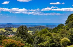 353 Flaxton Drive, Flaxton, Qld 4560