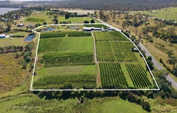 161 John Lees Drive, Dilston, Tas 7252