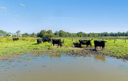 117 Queen Street, Moruya, NSW 2537